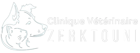 vlinique vétérinaire zerktouni logo